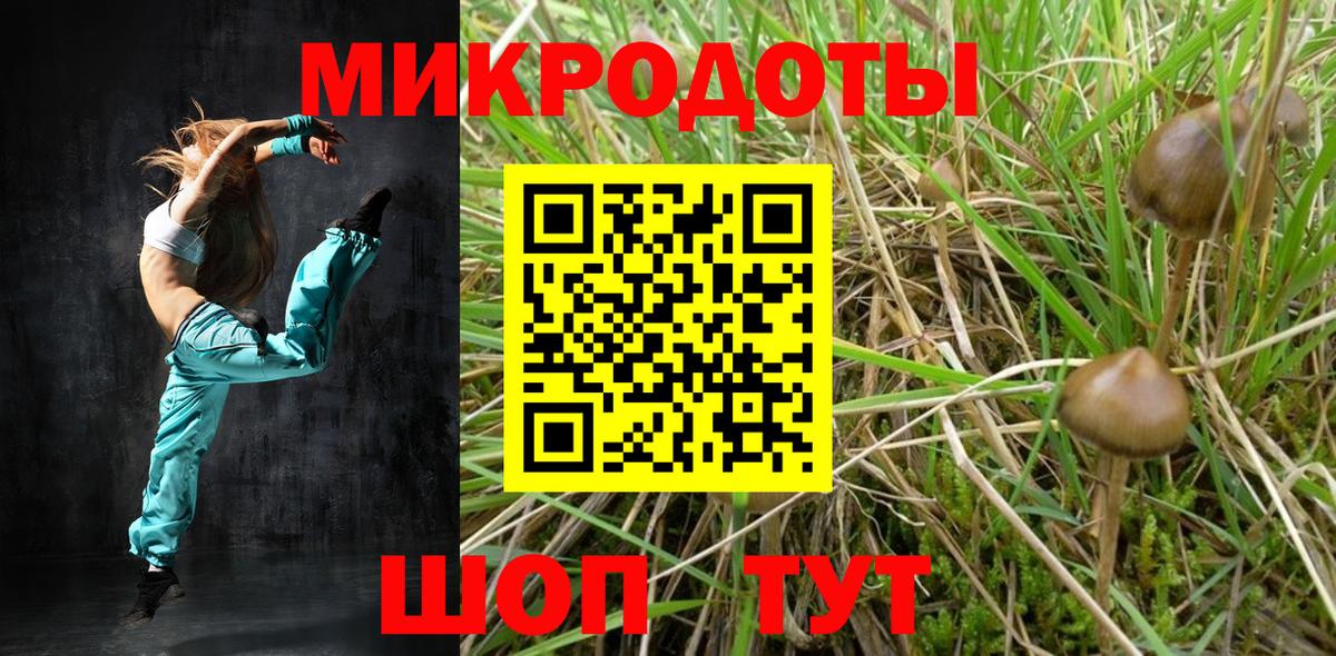 Галлюциногенные грибы Magic Shrooms  Псилоцибиновые грибы Psilocybine cubensis  продажа наркотиков  Вход с VPN  Нурлат 